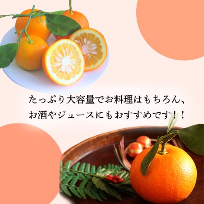 さっぱり爽やか ほどよくビター「だいだい(橙)」の手搾り果汁1L(業務用) TF819
