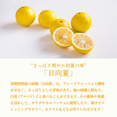 さっぱりと爽やかな宮崎ならではの味『日向夏』の手搾り果汁1L(業務用) TF820