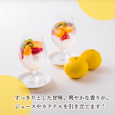 さっぱりと爽やかな宮崎ならではの味「日向夏」の手搾り果汁1L(業務用) TF820