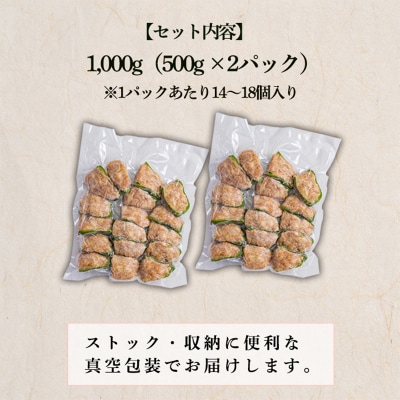 焼くだけ簡単 手作りの美味しさ宮崎県産素材のピーマンの肉詰め1kg TF823