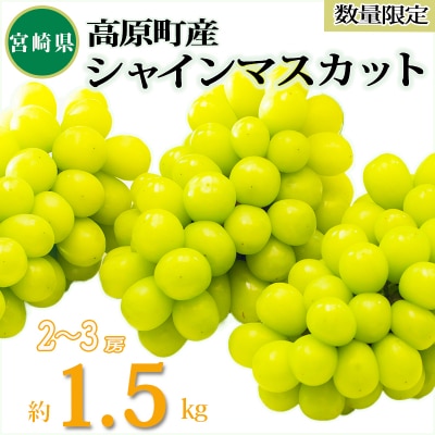 久保ぶどう園の高原町産シャインマスカット(約1.5kg)[宮崎県産 2～3房 湧水育ち]　TF780