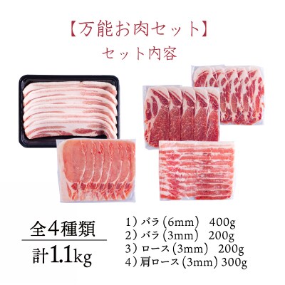 ソヤマポークのソヤマポークの万能お肉セット[焼肉、炒め物 蒸し物 揚げ物 丼] TF831