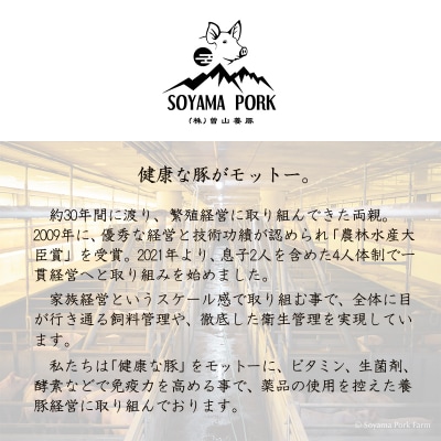 曽山養豚の宮崎県産豚の切り落とし2kg(500g×4p)　TF826