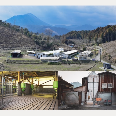 曽山養豚の宮崎県産豚の切り落とし2kg(500g×4p)　TF826