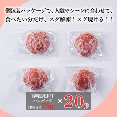 [15,000個突破!!] 黒毛和牛の手ごねハンバーグ75g×20個(1.5kg) TF842
