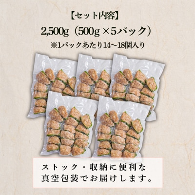 焼くだけ簡単 手作りの美味しさ宮崎県産素材のピーマンの肉詰め2.5kg(500g×5p) TF741