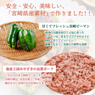 焼くだけ簡単 手作りの美味しさ宮崎県産素材のピーマンの肉詰め2.5kg(500g×5p) TF741