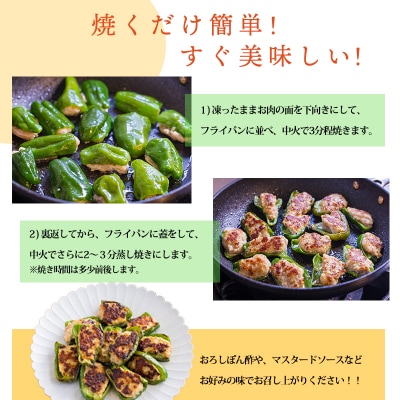 焼くだけ簡単 手作りの美味しさ宮崎県産素材のピーマンの肉詰め2.5kg(500g×5p) TF741