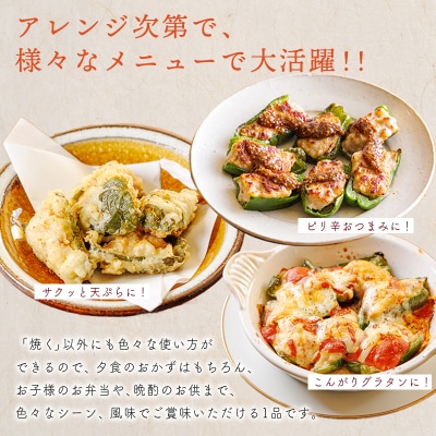 焼くだけ簡単 手作りの美味しさ宮崎県産素材のピーマンの肉詰め2.5kg(500g×5p) TF741