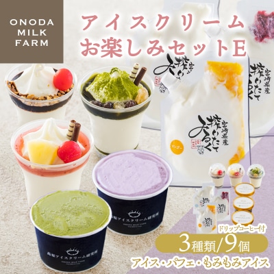 高原アイスクリーム研究所のアイスクリームお楽しみEセット TF824