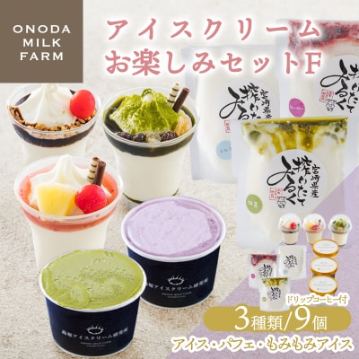 高原アイスクリーム研究所のアイスクリームお楽しみFセット TF825