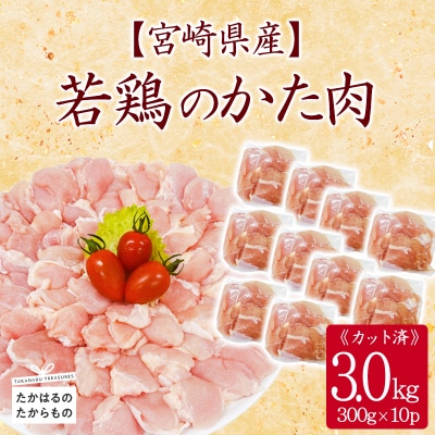 宮崎県産若鶏肩肉3kg(300g×10)  TF836