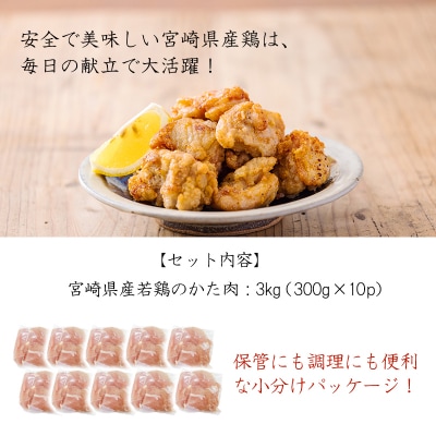 宮崎県産若鶏肩肉3kg(300g×10)  TF836