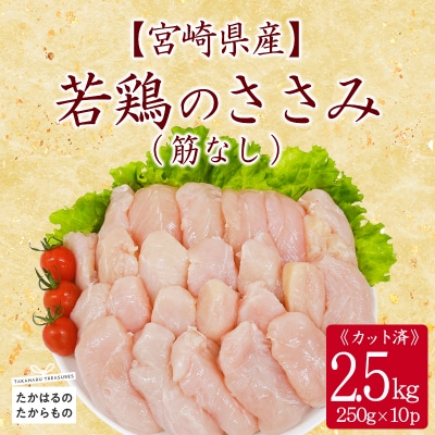 宮崎県産若鶏筋なしささみ2.5kg(250g×10) TF839