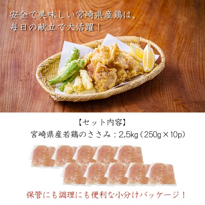 宮崎県産若鶏筋なしささみ2.5kg(250g×10) TF839