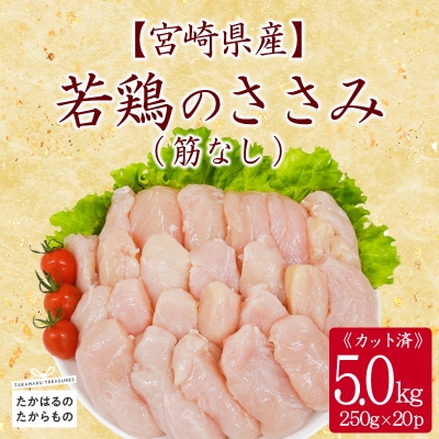 宮崎県産若鶏筋なしささみ5.0kg(250g×20)　TF840