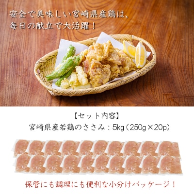宮崎県産若鶏筋なしささみ5.0kg(250g×20)　TF840
