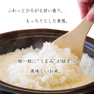 令和6年産 高原町産ヒノヒカリ2kg(無洗米)TF841