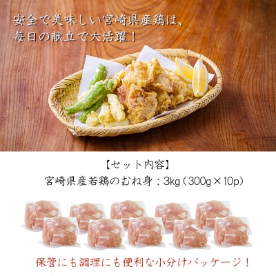 宮崎県産若鶏むね切り身3.0kg(300g×10) TF833