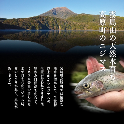 奥霧島の山河の恵み ニジマスの干物[晩酌 朝食 ギフト お土産] TF791