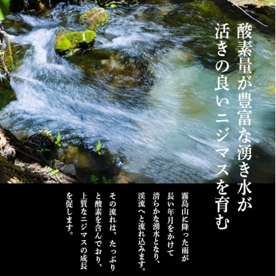 奥霧島の山河の恵み ニジマスの干物[晩酌 朝食 ギフト お土産] TF791