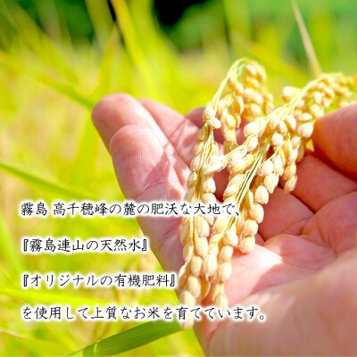 令和7年産 高原町産ヒノヒカリ5kg(無洗米)TF853