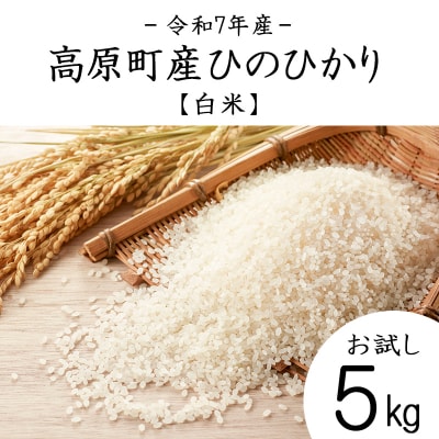 【令和7年産 新米】宮崎県高原町産ひのひかり白米5kg TF854