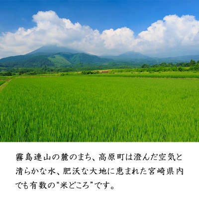 【令和7年産 新米】宮崎県高原町産ひのひかり白米5kg TF854
