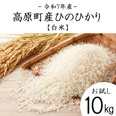 【令和7年産 新米】宮崎県高原町産ひのひかり白米10kg TF856