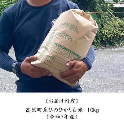 【令和7年産 新米】宮崎県高原町産ひのひかり白米10kg TF856