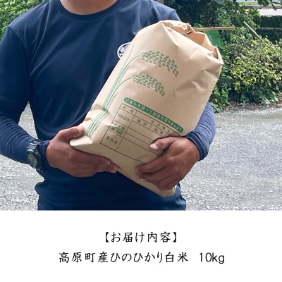 【令和8年産】宮崎県高原町産ひのひかり白米10kg TF856