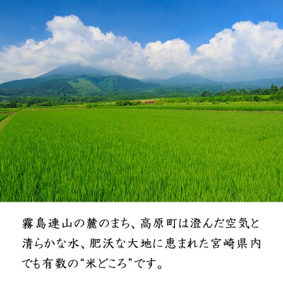 【令和7年産】宮崎県高原町産ひのひかり白米定期便10kg×3回(計30kg) TF857