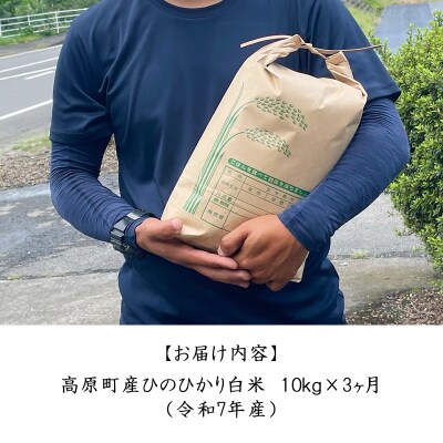 【令和7年産】宮崎県高原町産ひのひかり白米定期便10kg×3回(計30kg) TF857