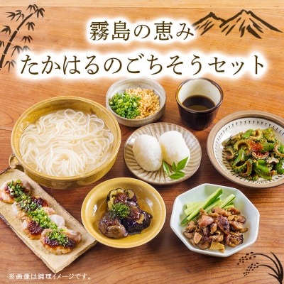 《ふるさとの高原の味》霧島の恵み!たかはるのごちそうセットTF858