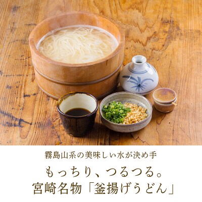 《ふるさとの高原の味》霧島の恵み! ごちそううどんセットTF858