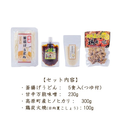 《ふるさとの高原の味》霧島の恵み! ごちそううどんセットTF858