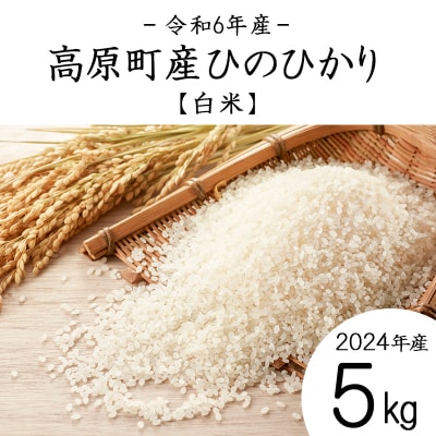 【令和6年産 古米】宮崎県高原町産ひのひかり白米5kg TF859