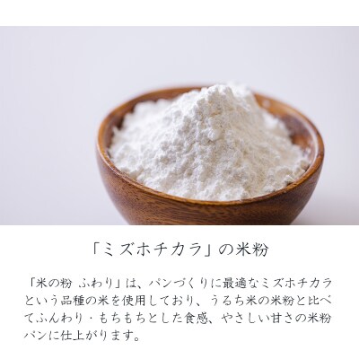 高原町産『米の粉 ふわり』1kg(500g×2) [宮崎県産 国産 米粉 ミズホチカラ] TF861