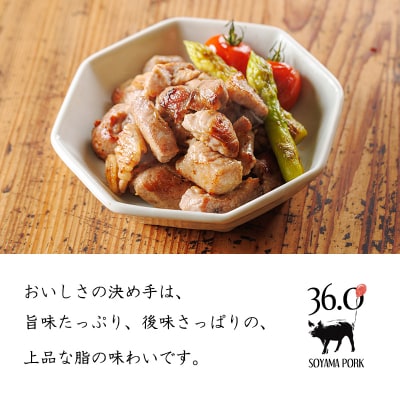 ソヤマポークの加工品詰め合わせ[ハム ステーキ ソーセージ 味噌漬け] TF862