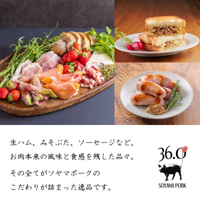 ソヤマポークの加工品詰め合わせ[ハム ステーキ ソーセージ 味噌漬け] TF862