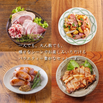 ソヤマポークの加工品詰め合わせ[ハム ステーキ ソーセージ 味噌漬け] TF862