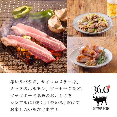 ソヤマポークの焼肉・炒め物セット[ロース バラ ステーキ ソーセージ ホルモン] TF863