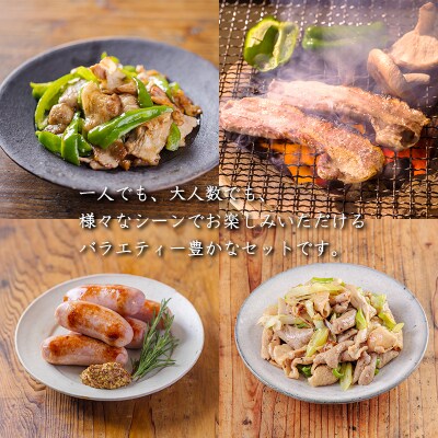 ソヤマポークの焼肉・炒め物セット[ロース バラ ステーキ ソーセージ ホルモン] TF863