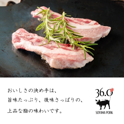 ソヤマポークの骨付き肉セット[ポークチョップ スペアリブ 燻製骨付きハム] TF865