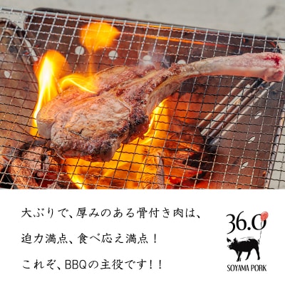 ソヤマポークの骨付き肉セット[ポークチョップ スペアリブ 燻製骨付きハム] TF865