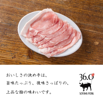 ソヤマポークのみそぶたセット[特製味噌漬け ロース モモ おかず お弁当] TF866