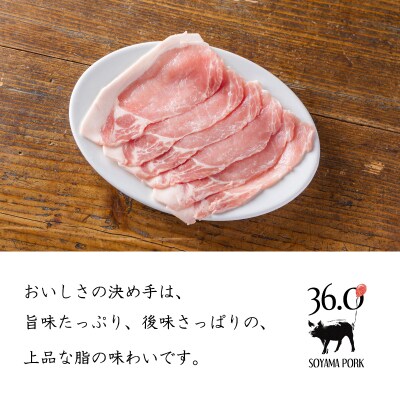 ソヤマポークのみそぶたセット[特製味噌漬け ロース モモ おかず お弁当] TF866