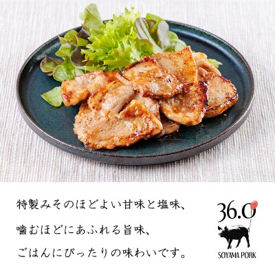 ソヤマポークのみそぶたセット[特製味噌漬け ロース モモ おかず お弁当] TF866