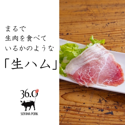 ソヤマポークの生ハム堪能セット[熟成肩ロース ロース モモ パンチェッタ] TF864