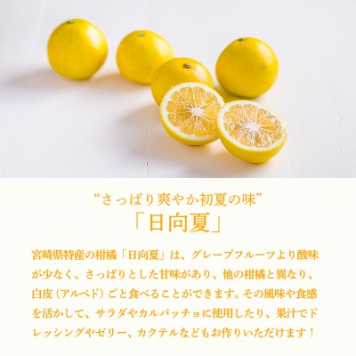 手搾り日向夏果汁200ml×1p　TF873